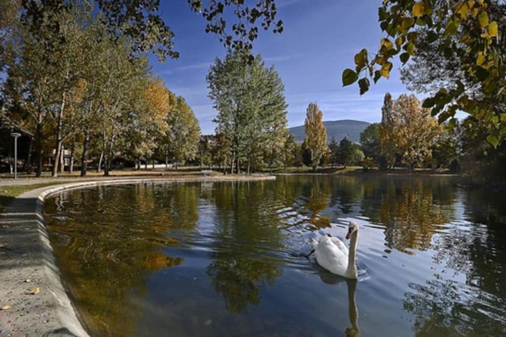 Ideal Parejas - Tranquilidad Y Naturaleza - Vistas Al Lago Osséja Buitenkant foto
