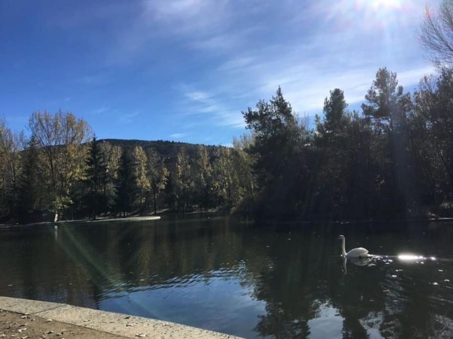 Ideal Parejas - Tranquilidad Y Naturaleza - Vistas Al Lago Osséja Buitenkant foto